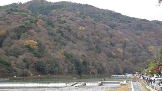 紅葉にはちょっと遅かったけど、素敵なお散歩道。
