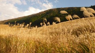 ススキヶ原ですね。