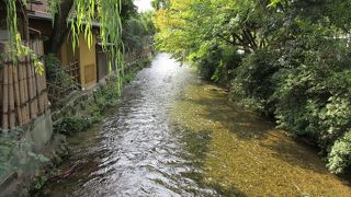 祇園を、変わらず流れている風情がいい