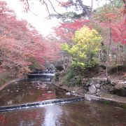 愛知の隠れた紅葉スポット