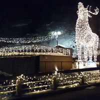 前の川ではイルミネーションをやっていた。