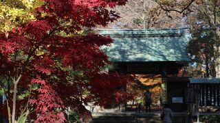 世田谷区の紅葉の穴場的なお寺