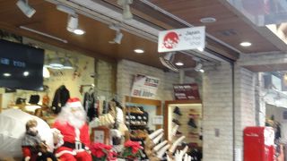 ほんものの皮の世界へ