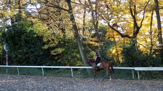 東京オリンピック(1964年)の馬術競技会場