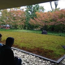 ミュージアムショップ脇のお庭