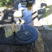 みずみずしいです