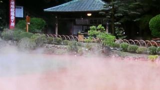 赤茶色をしています。