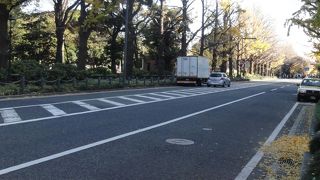 山下公園の横を走っています