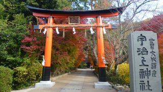 穴場の紅葉の名所です