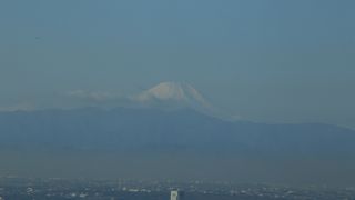 スカイツリーに負けてしまったが