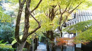 京都～、大原、三千院♪の曲で有名な