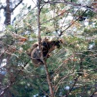 ”わぁい、エッチしてる〜！！”