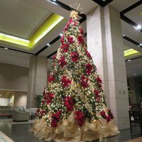 クリスマスツリーの飾りつけ