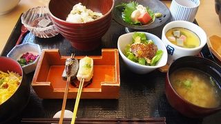 おめでとうふ～