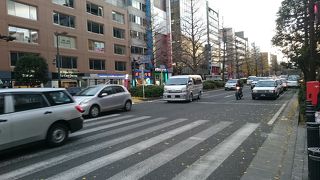 いちょうの時期には少し遅かった