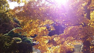 大都会のオアシス!?