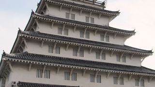 お姉さん達元気でした