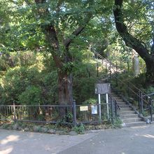 亀塚はこんな感じです