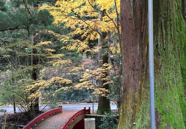 花園神社 クチコミ アクセス 営業時間 北茨城 磯原 フォートラベル 花園神社 クチコミ アクセス 営業時間 北茨城 磯原 フォートラベル