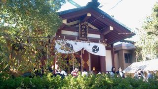 川騎稲毛神社