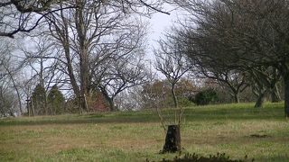 千葉の中では高原地