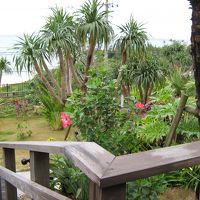 ホテルの前の庭園