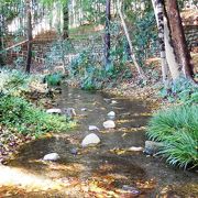 東久留米の里山風景、竹林のもとから清水が湧く