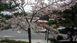 高速バスの休憩所です。