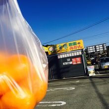 五ヶ所みかん直売店 土実樹