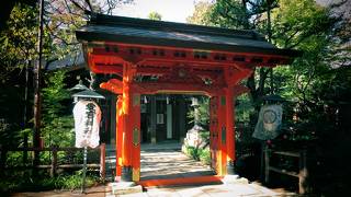 東京23区の最高峰に建立された社