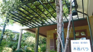 高い天井のテラスが印象的です