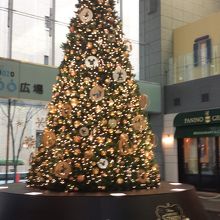 屋内広場のツリー。