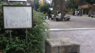 池のある住宅地のなかにある広い公園
