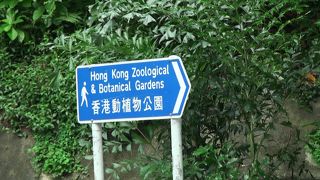 市民の憩いの場所で太極拳の練習場