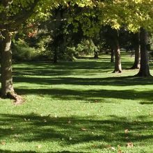 リスがいましたが？