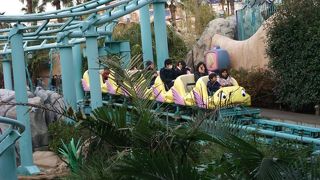 小さな子供でも乗れます。