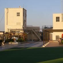 屋上のハレテラス