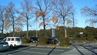 桜田濠がよく見える坂