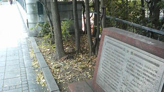 柵の絵柄がきれいな銀座の橋