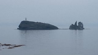 鯨と思っていました。