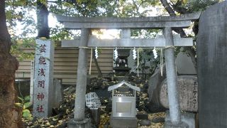 花園神社に同居、昔から芸能と縁が深かった