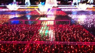 宮崎フローランテ