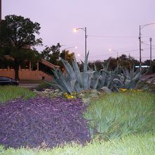 後方の左に見えるのがHilton On The Park M