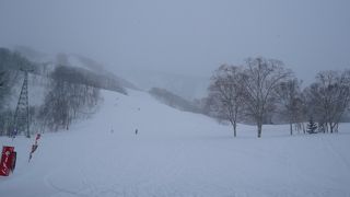 まさに目と鼻の先