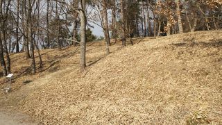 吉備風土記の丘にある作山古墳、造山古墳では無い