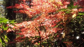 素晴らしい庭園