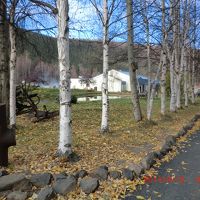 自然につつまれた伸びやかな敷地に散在するロッジ、