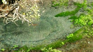 思ったより素敵！