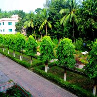 門から玄関までの通路。狭いです。大型バスは運転手が大変です。