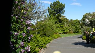 無料で植物園が楽しめる